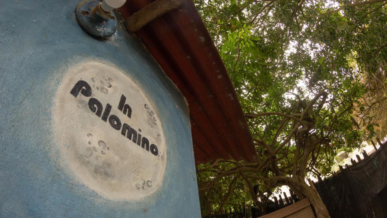 Hostel In Palomino Zewnętrze zdjęcie